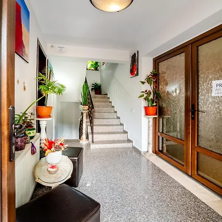 Guest house Vila Ayann Eforie Nord
